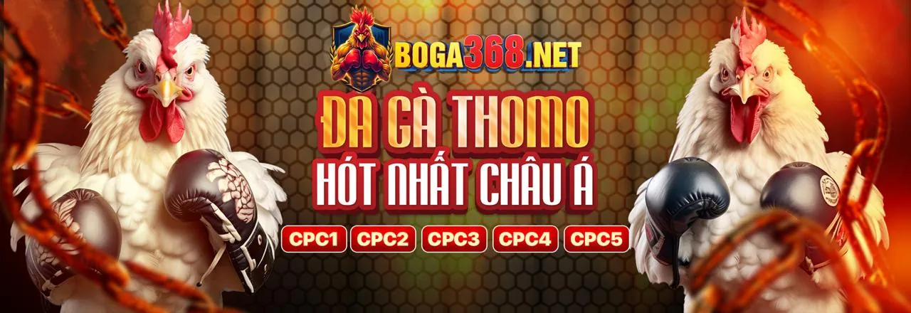 Hình ảnh chính về mẹo chơi Tài Xỉu hiệu quả tại 23vin