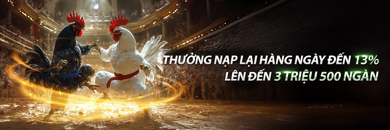 Sân chơi đá gà trực tuyến 23vin đầy kịch tính